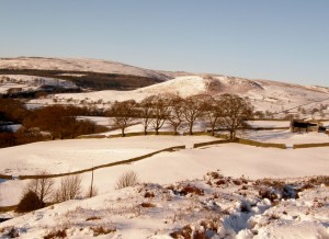 Storith In Snow