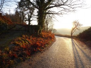 Six months earlier at a bend in the road